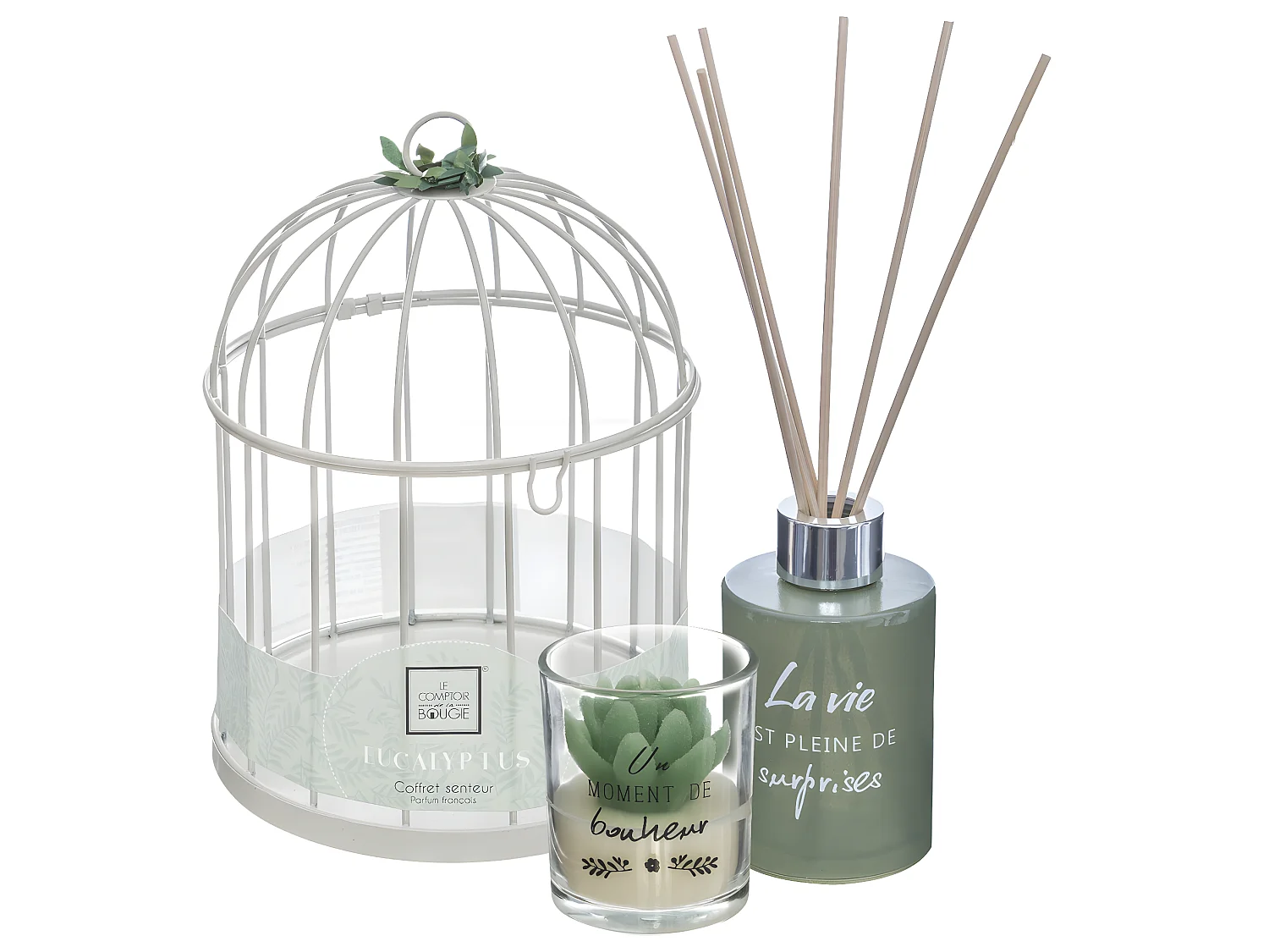 Coffret de Fragrances "Cage" 20cm Eucalyptus