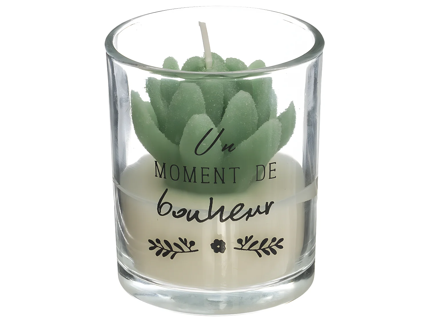 Coffret de Fragrances "Cage" 20cm Eucalyptus