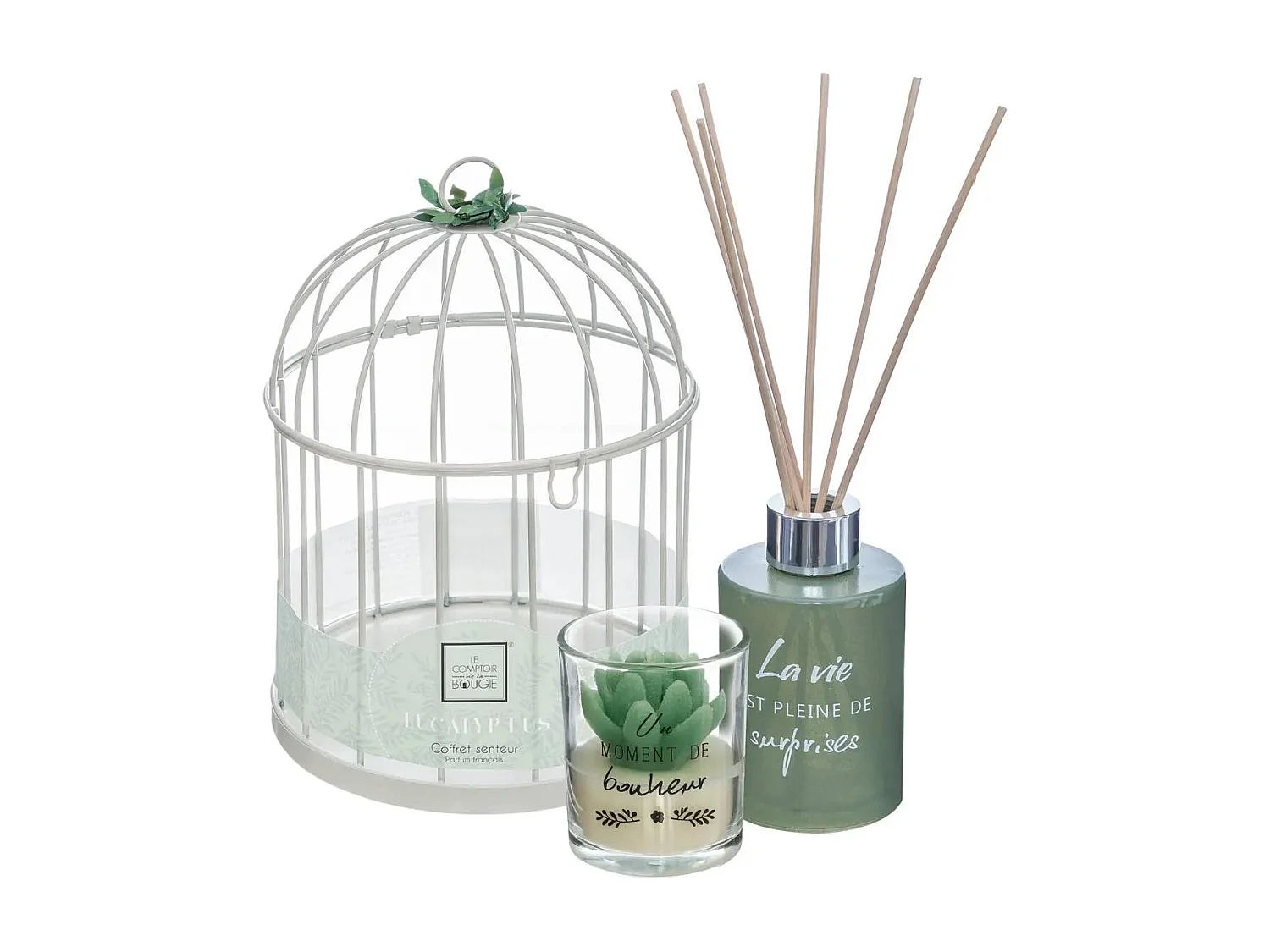 Coffret de Fragrances "Cage" 20cm Eucalyptus