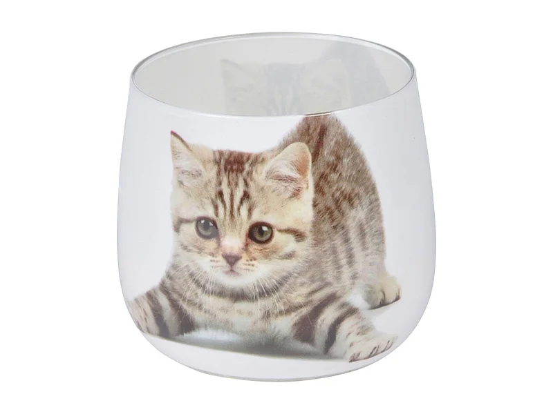 Bougie Anti-Odeurs "Chat" 8cm Blanc