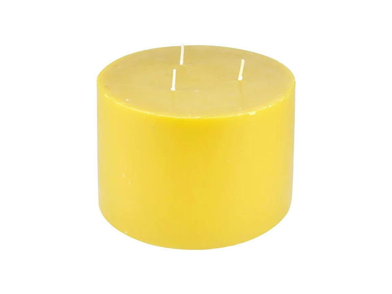 Bougie Déco Parfumée "Trendie" 15cm Miel Sauvage