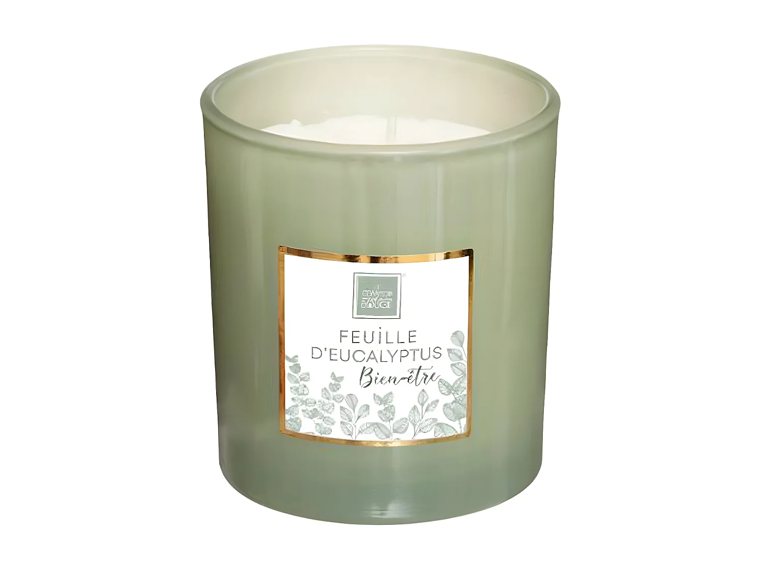 Bougie Parfumée "Mael" 190g Feuille d'Eucalyptus
