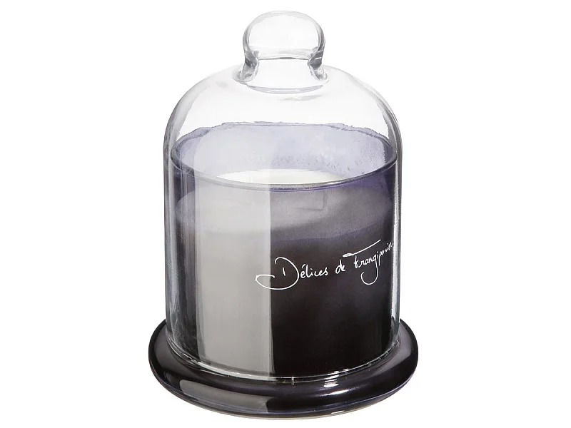 Bougie Parfumée sous Cloche "Loyd" 650g Délices Frangipanier