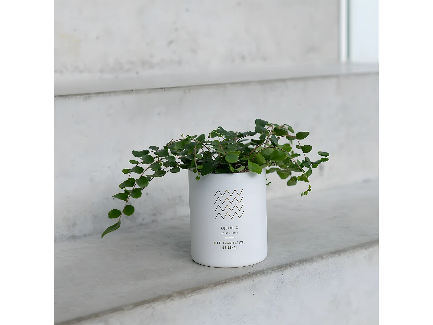 Bougie Parfumée "Verseau" 10cm Sapphire Amber Tea