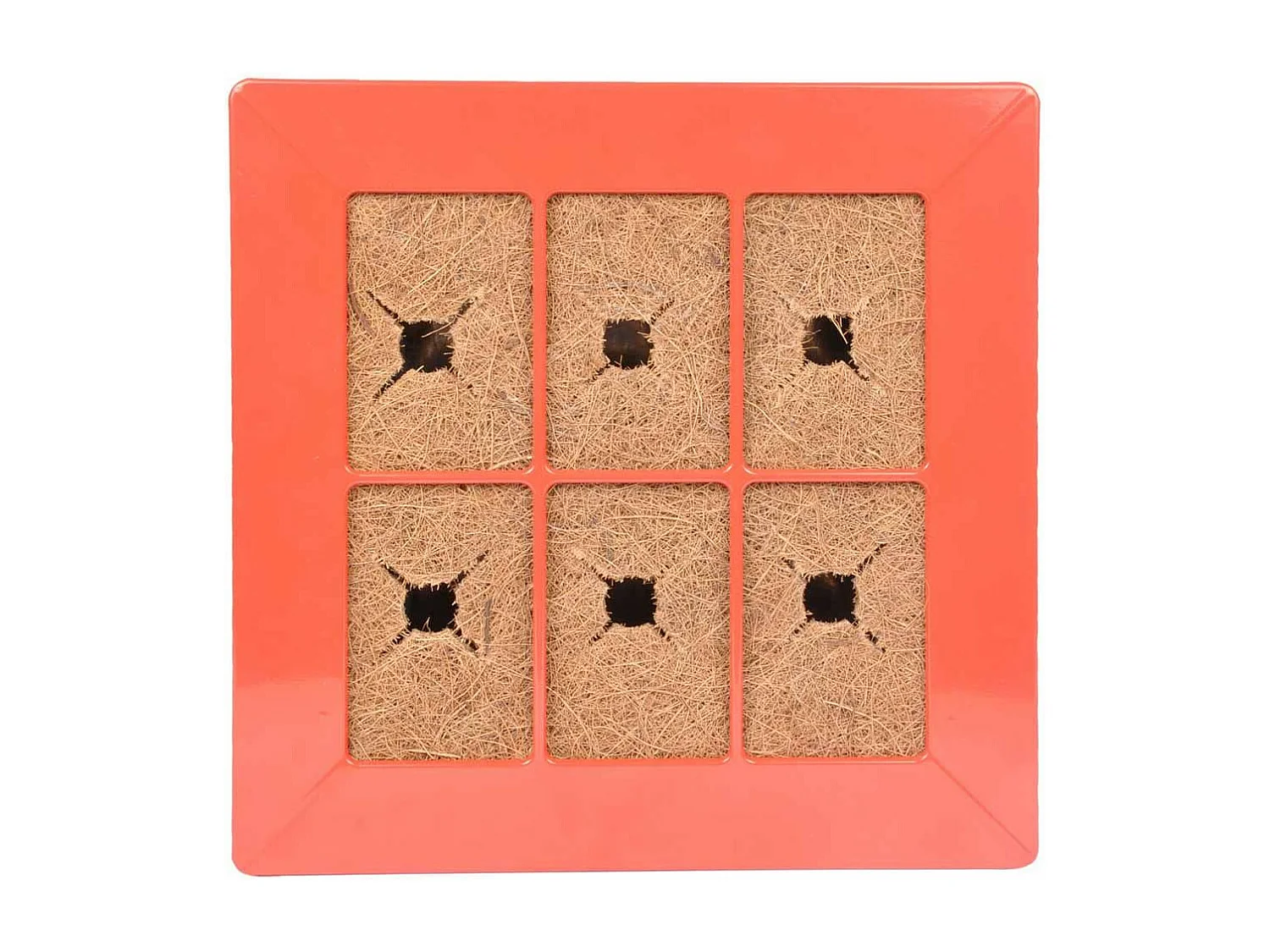 Cadre Mural Végétal "Arboré" 37cm Rouge