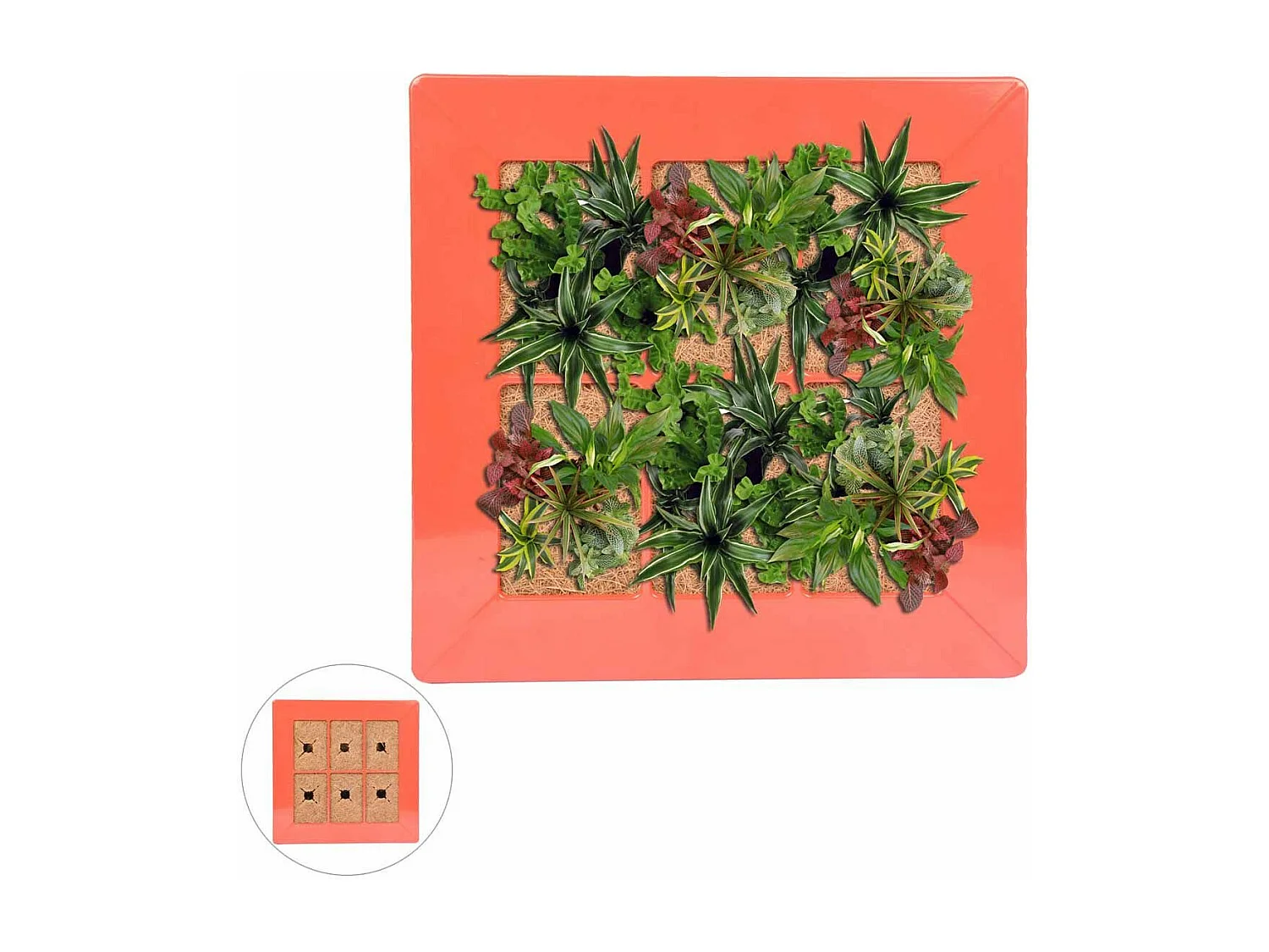 Cadre Mural Végétal "Arboré" 37cm Rouge