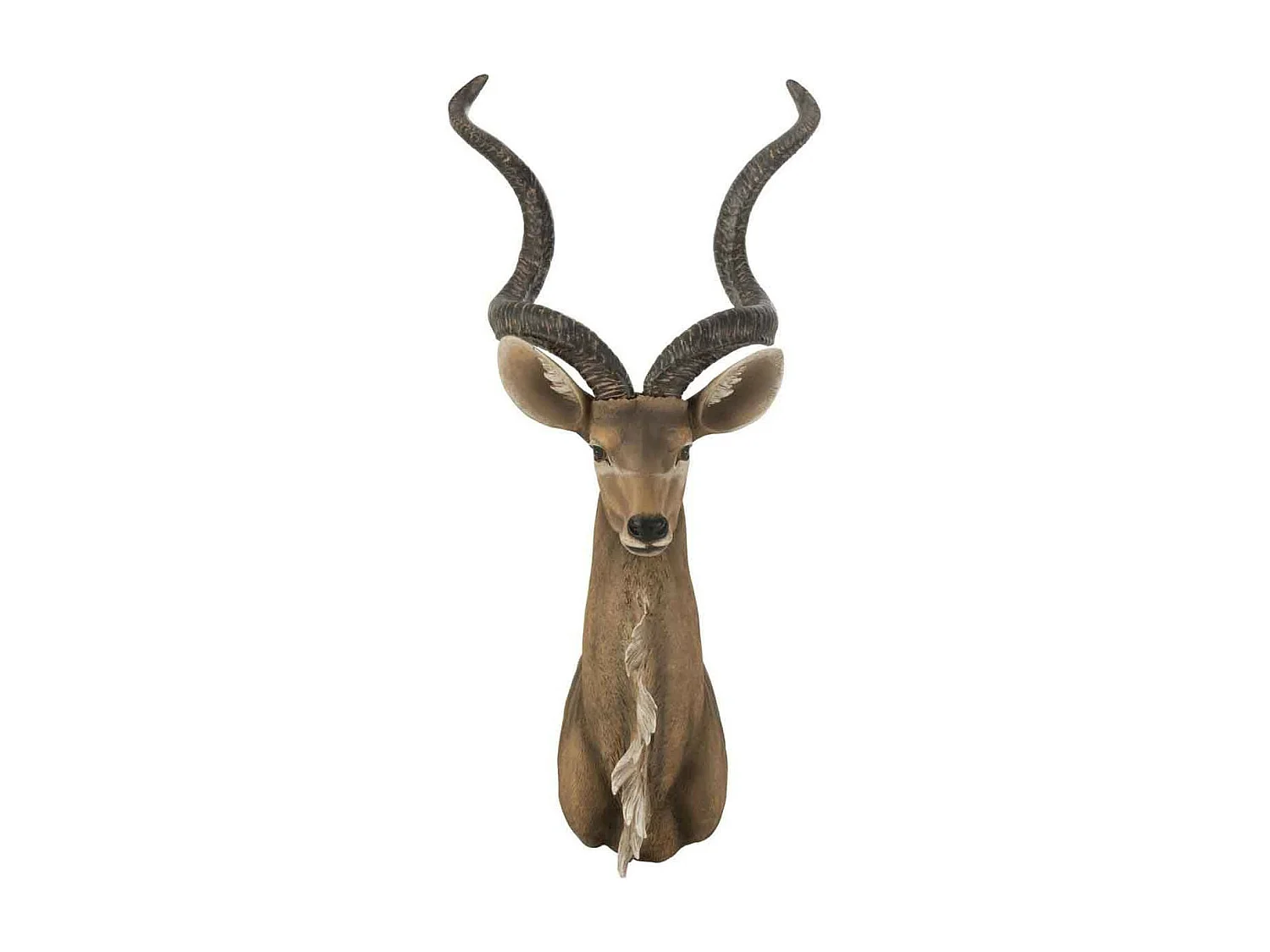 Trophée Mural "Tête d'Antilope" 85cm Marron
