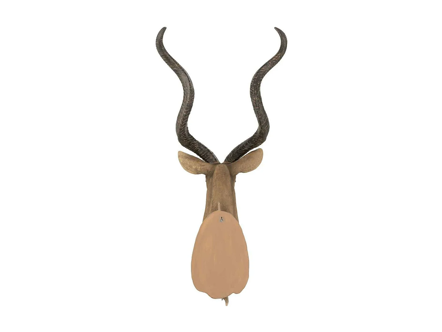 Trophée Mural "Tête d'Antilope" 85cm Marron