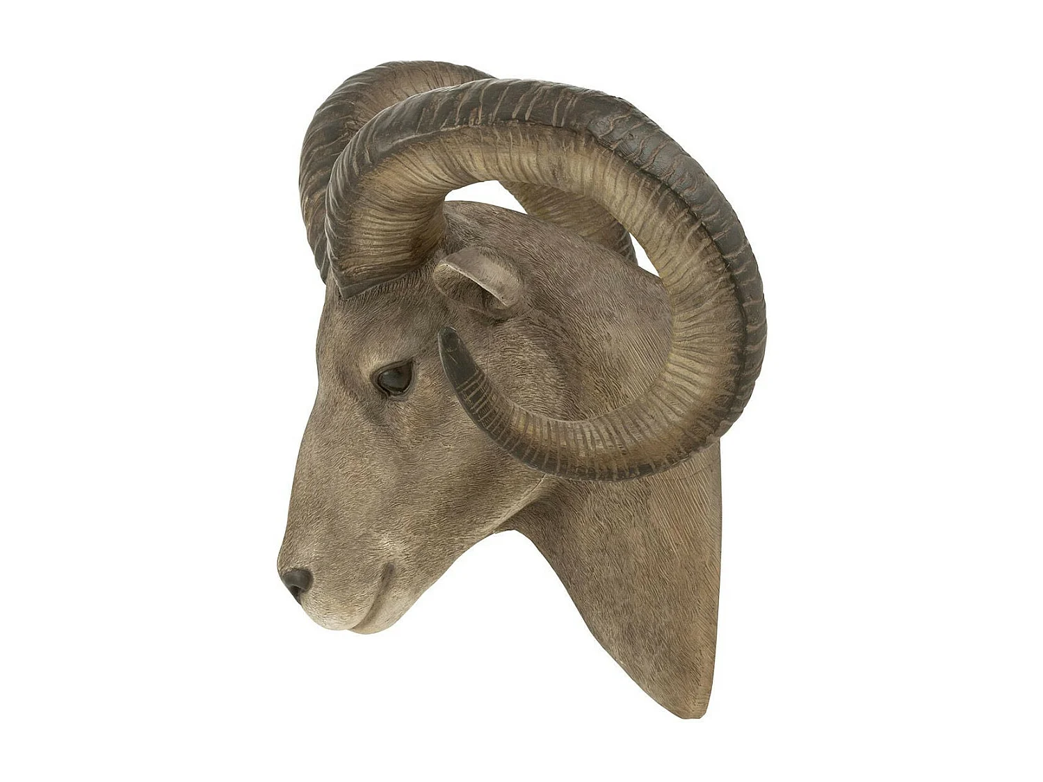 Trophée Mural "Tête de Chèvre" 48cm Gris & Marron