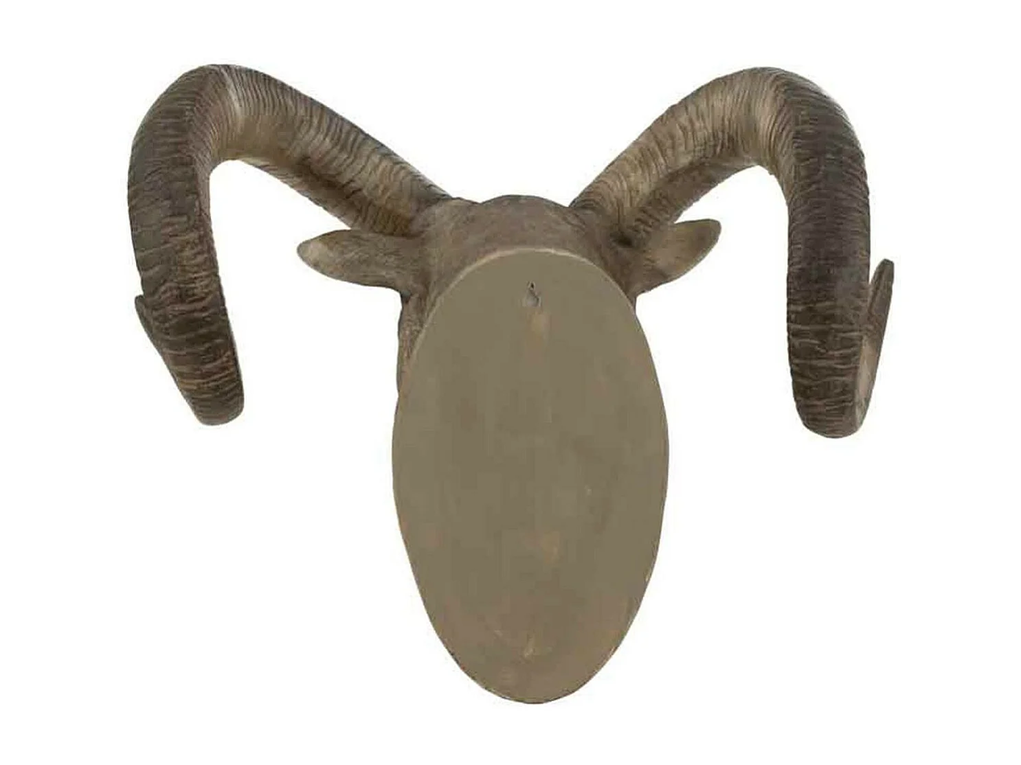 Trophée Mural "Tête de Chèvre" 48cm Gris & Marron