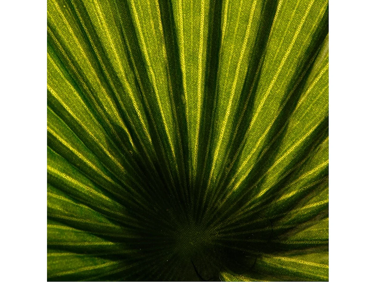 Plante Artificielle "Palmier" 190cm Vert