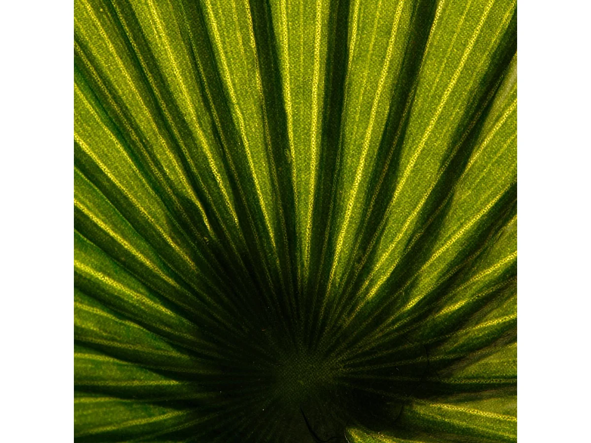 Plante Artificielle "Palmier" 190cm Vert