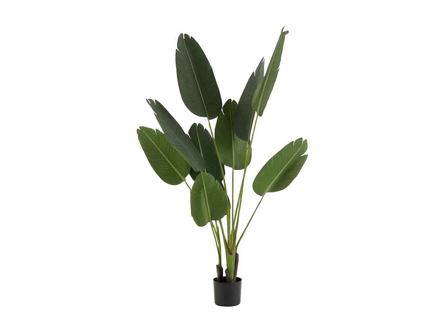 Plante Artificielle en Pot "Strelitzia" 165cm Vert