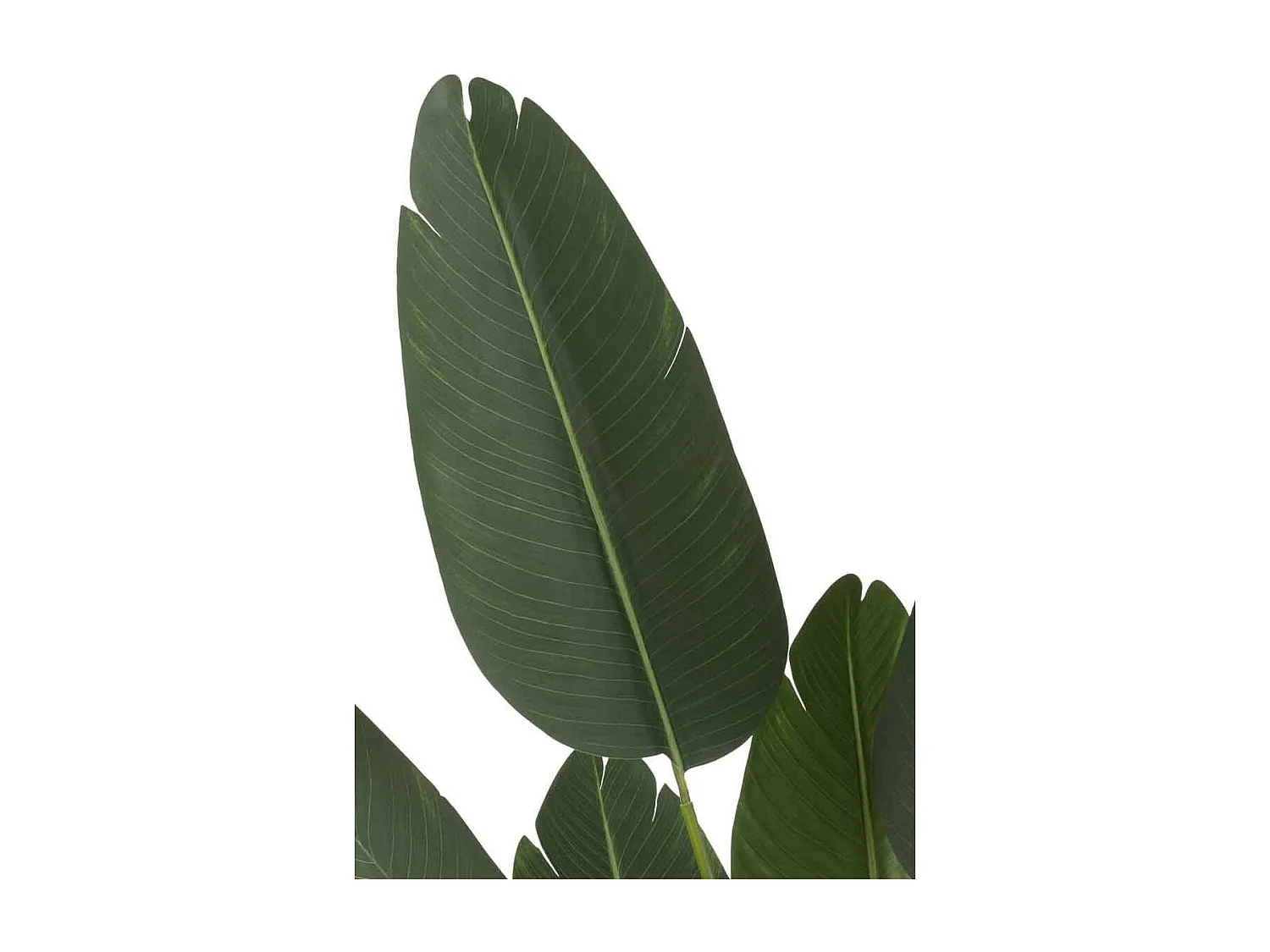 Plante Artificielle en Pot "Strelitzia" 165cm Vert