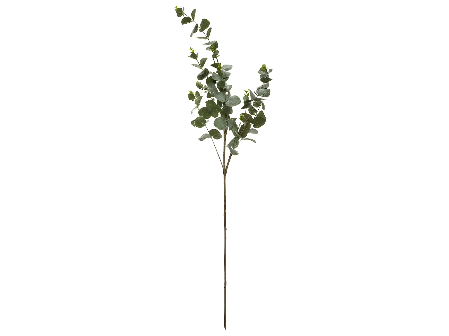Branche d'Eucalyptus "Génération Vintage" 98cm Vert