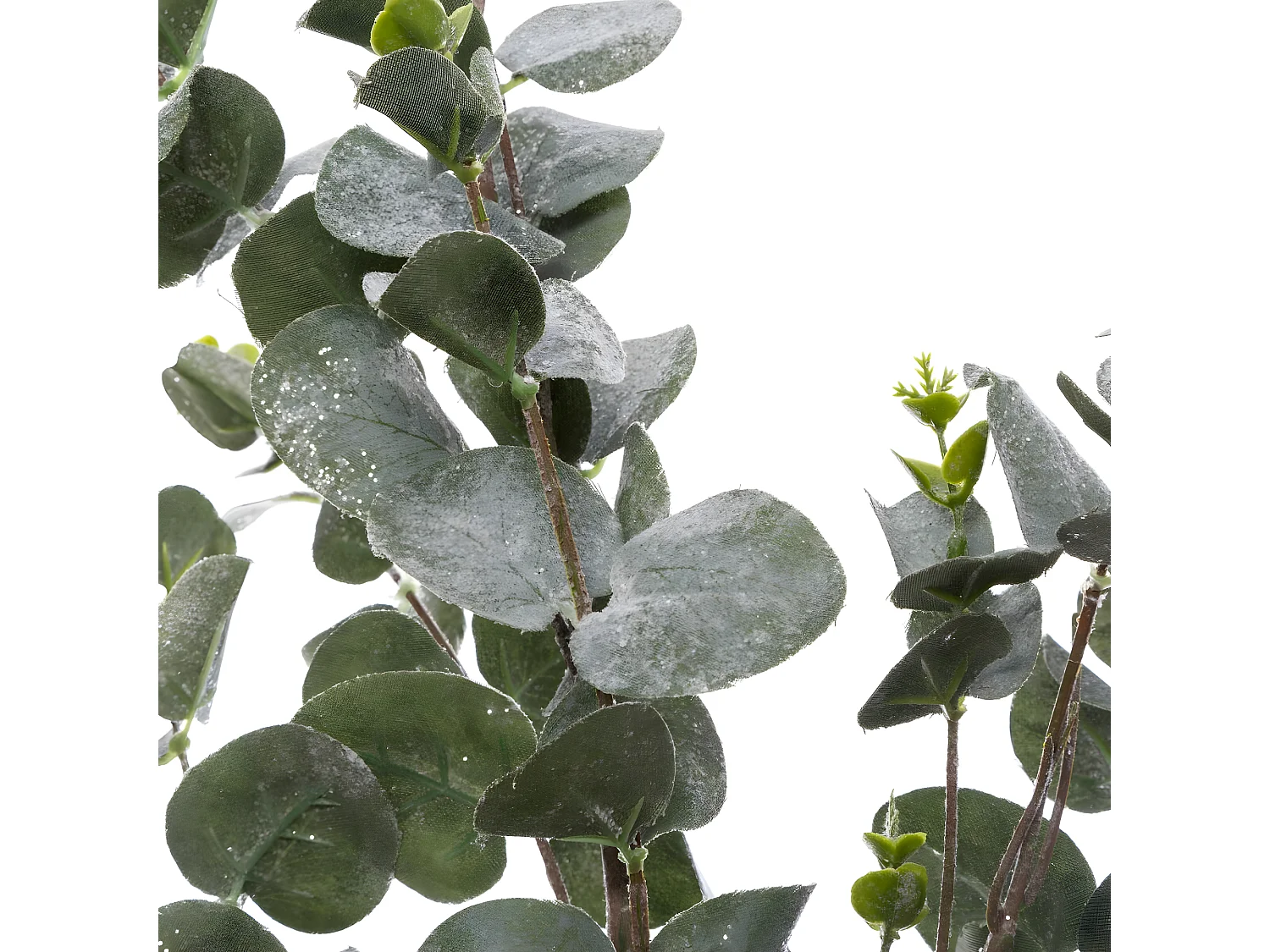 Branche d'Eucalyptus "Génération Vintage" 98cm Vert