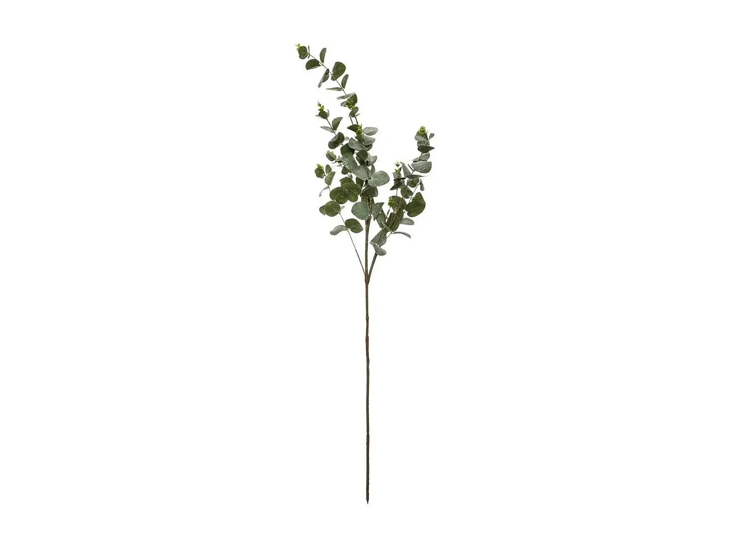Branche d'Eucalyptus "Génération Vintage" 98cm Vert