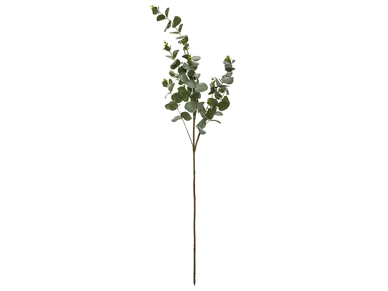 Branche d'Eucalyptus "Génération Vintage" 98cm Vert