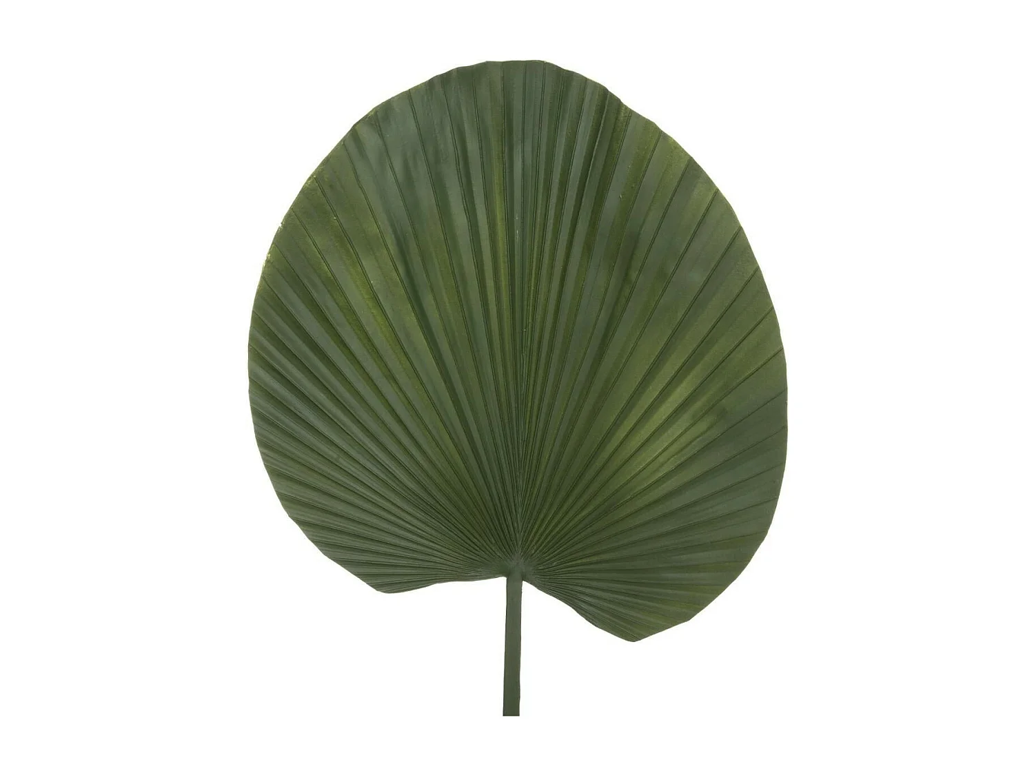 Fleur Artificielle Nénuphar "Feel" 91cm Vert