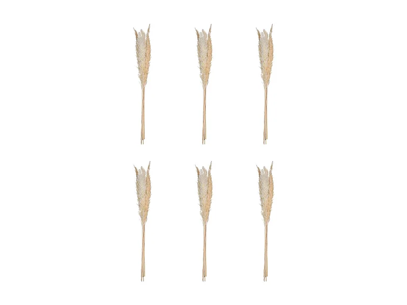 Lot de 6 Fleurs Séchées "Pampa" 66cm Naturel