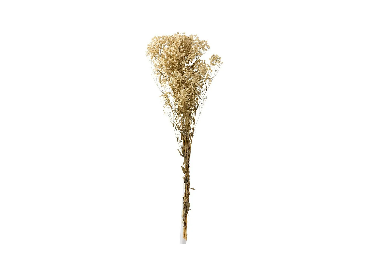 Bouquet de Fleurs "Gypsophile Séché" 84cm Écru