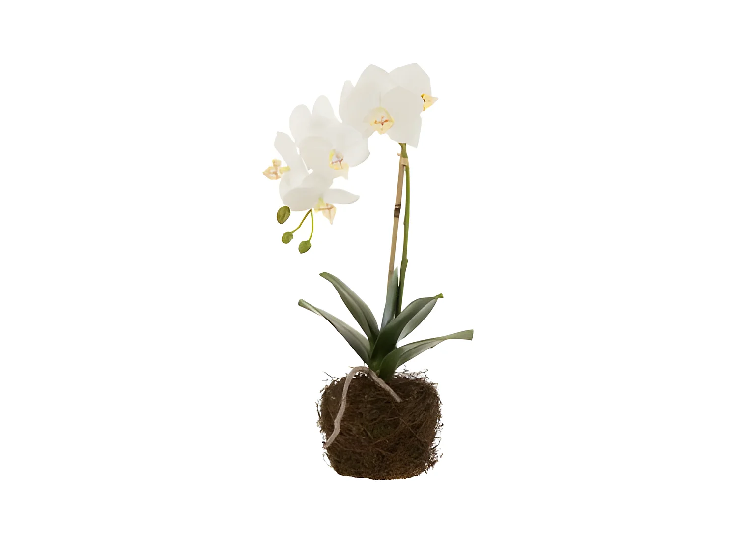 Planta de orquídea en textil blanco de 23x17x40 cm