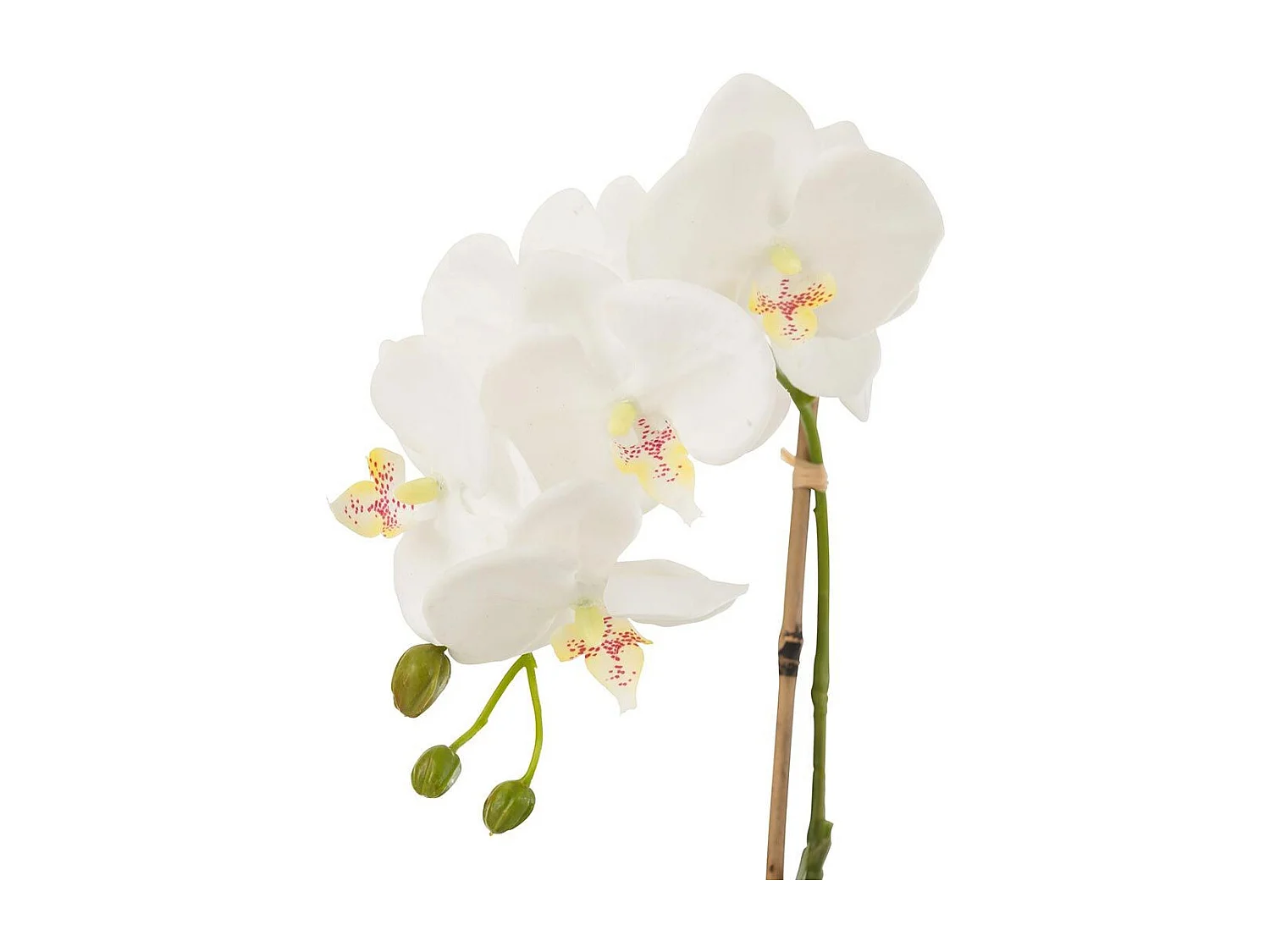 Fleur Artificielle Déco "Orchidée en Terre" 40cm Blanc