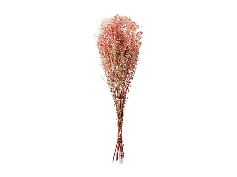 Bouquet de Fleurs "Gypsophile Séché" 84cm Rose