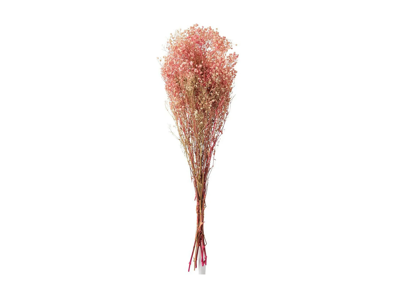 Bouquet de Fleurs "Gypsophile Séché" 84cm Rose