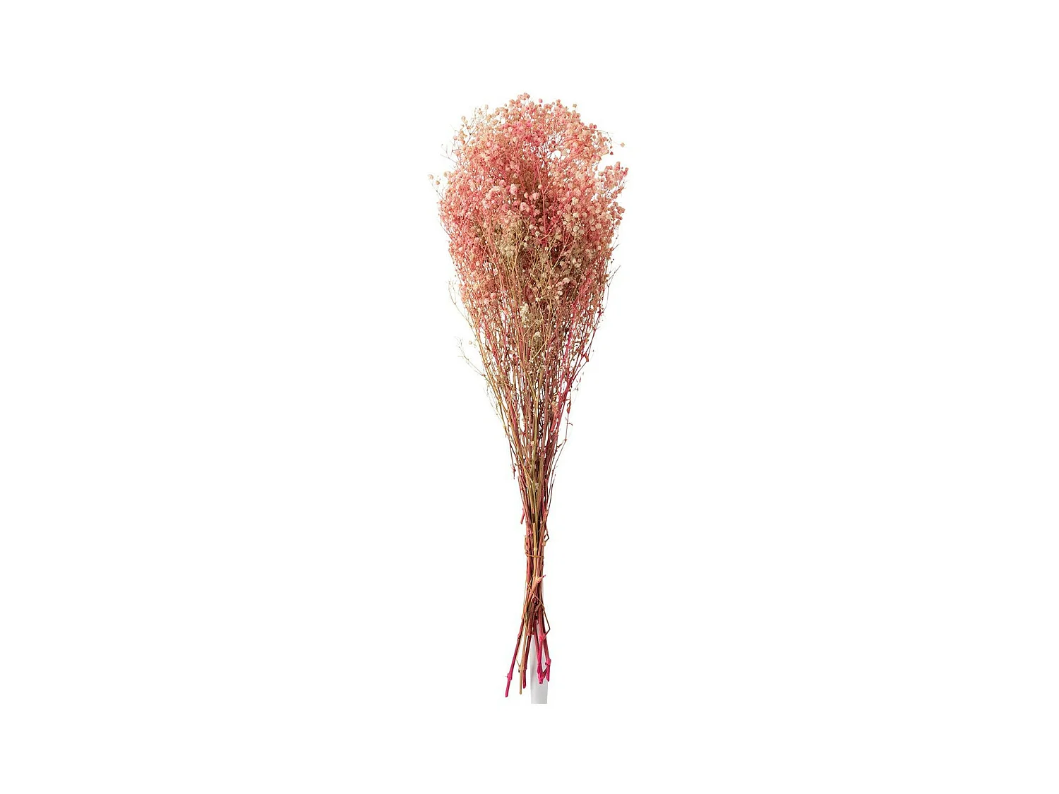 Bouquet de Fleurs "Gypsophile Séché" 84cm Rose