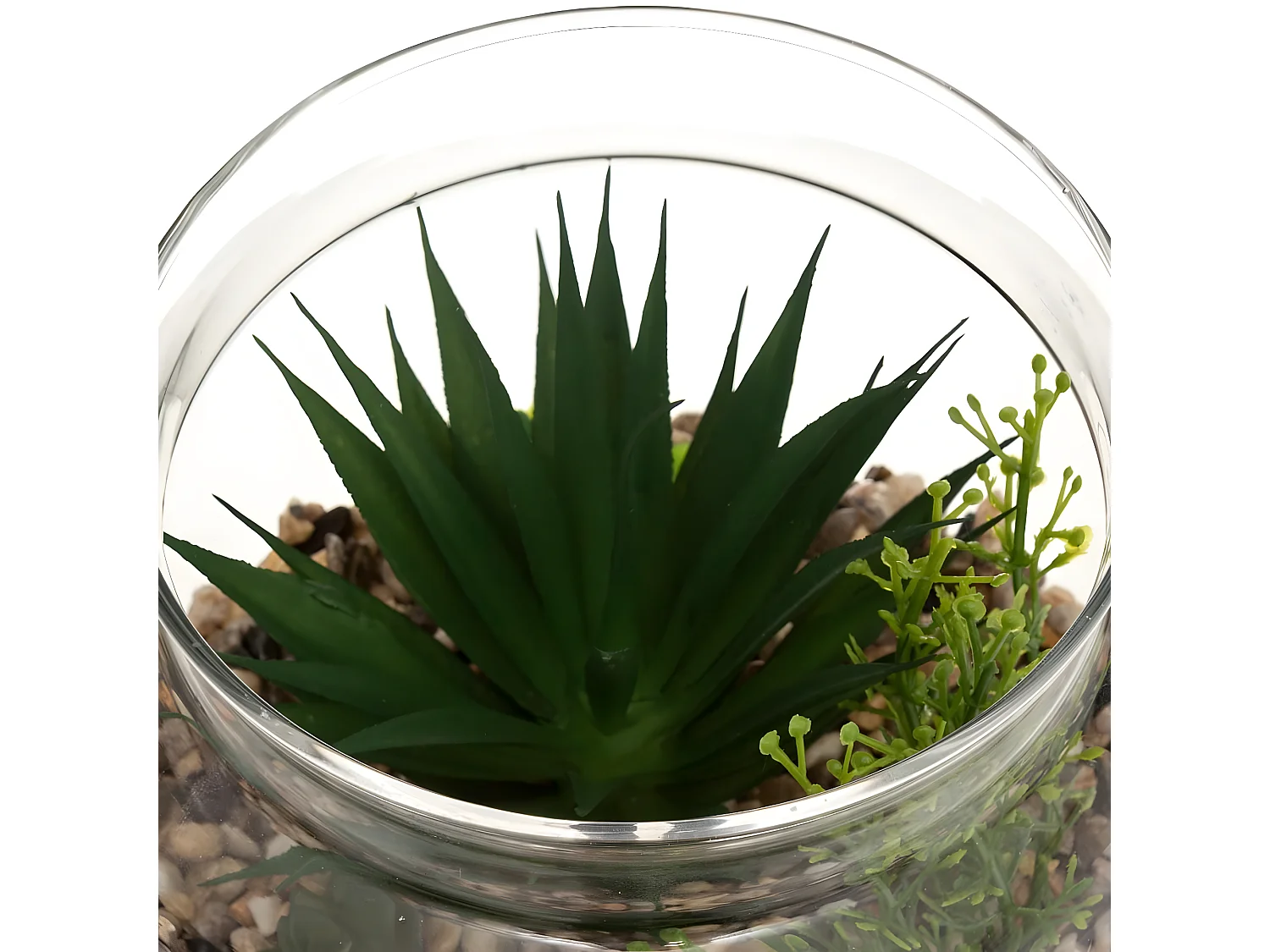 Terrarium en Verre & Bois "Brito" 17cm Transparent