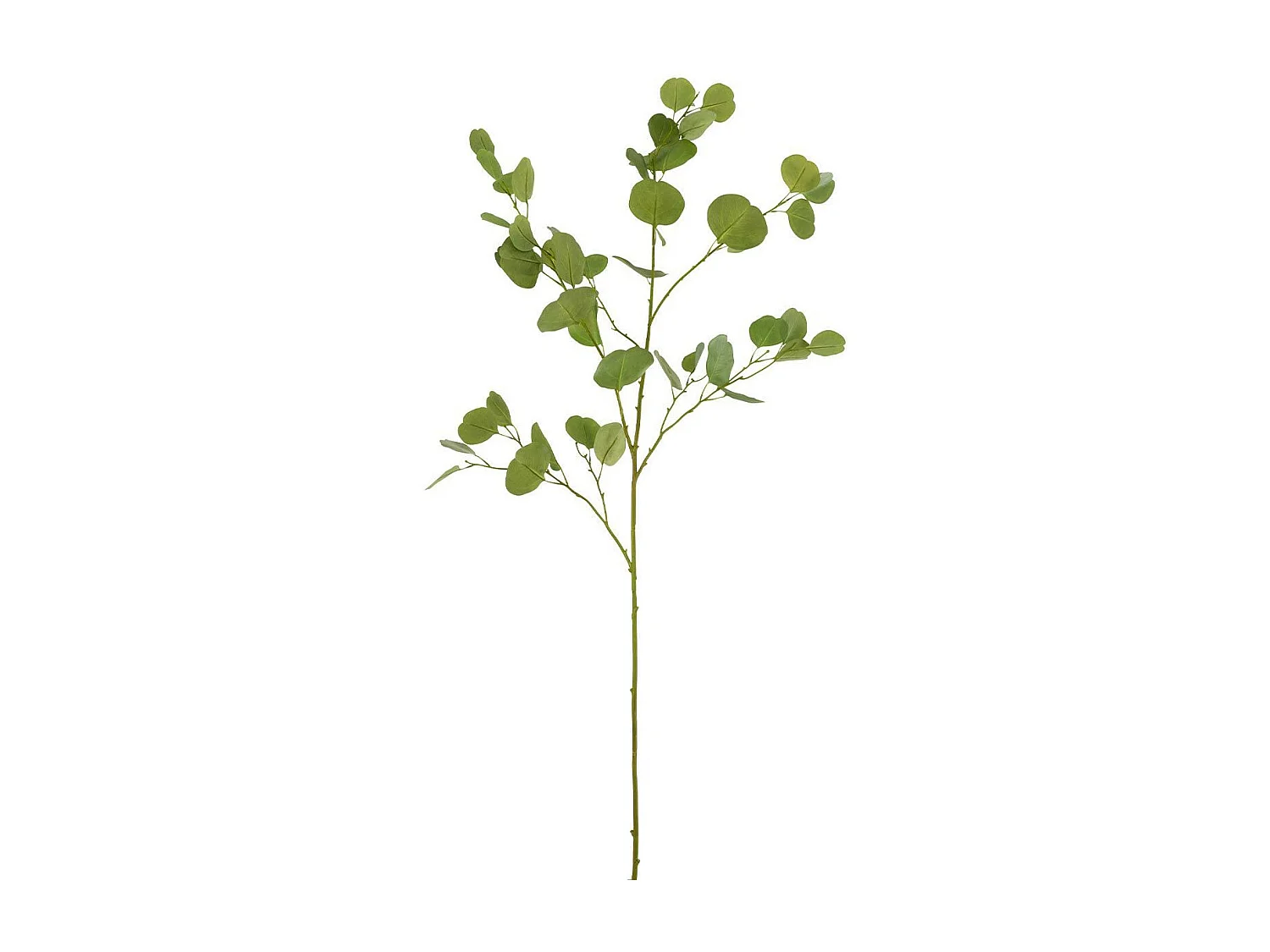 Fleur Artificielle "Branche d'Eucalyptus" 138cm Vert