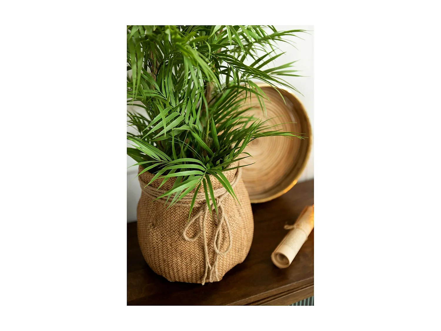 Plante Artificielle "Palmier en Pot" 84cm Vert