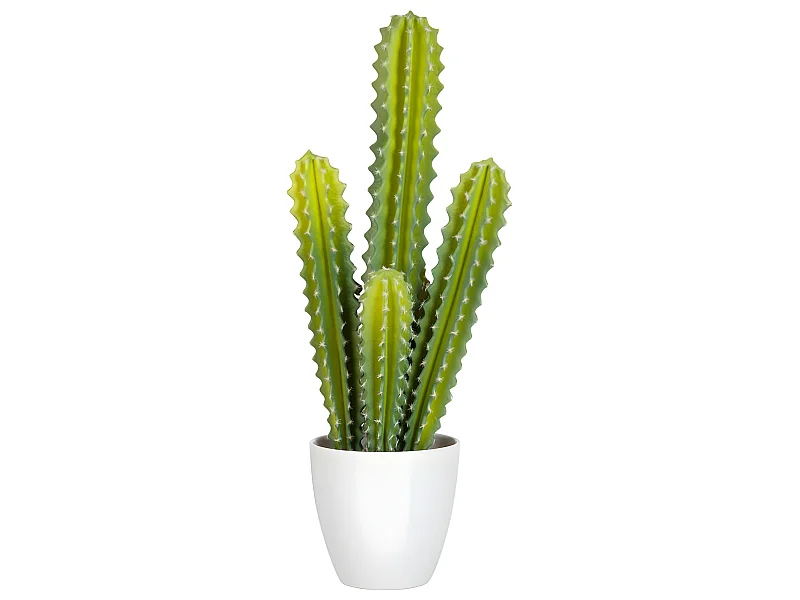 Cactus verde en maceta de plástico blanco de 22x16x52.5 cm