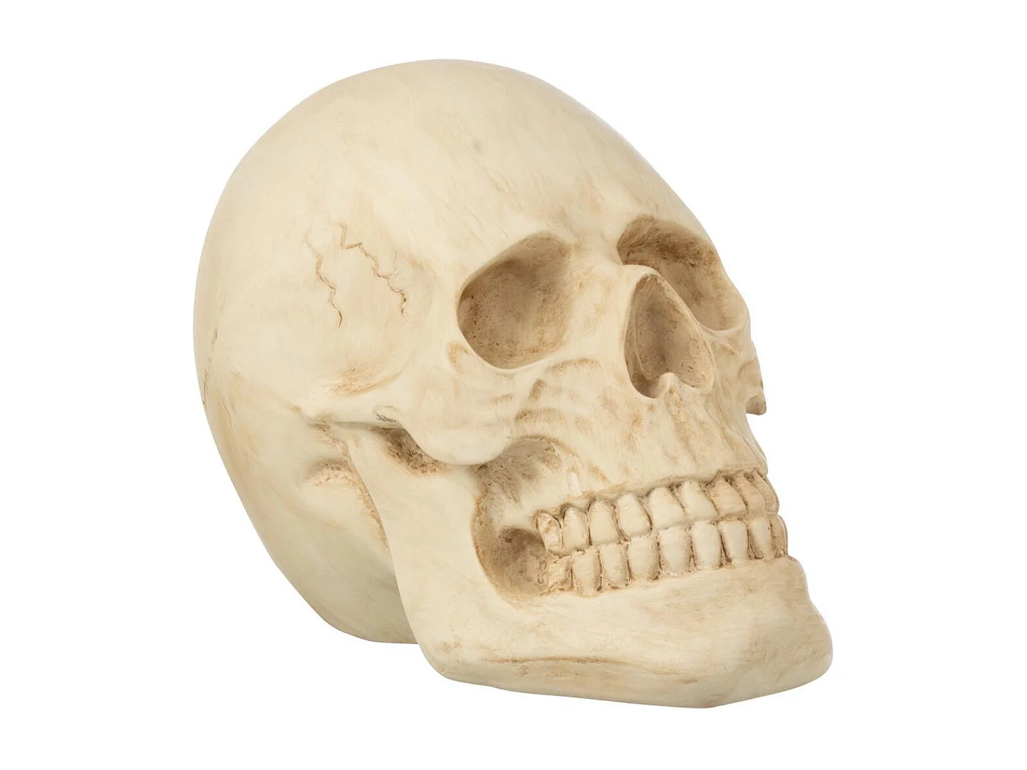 Statuette Déco "Crâne" 21cm Naturel