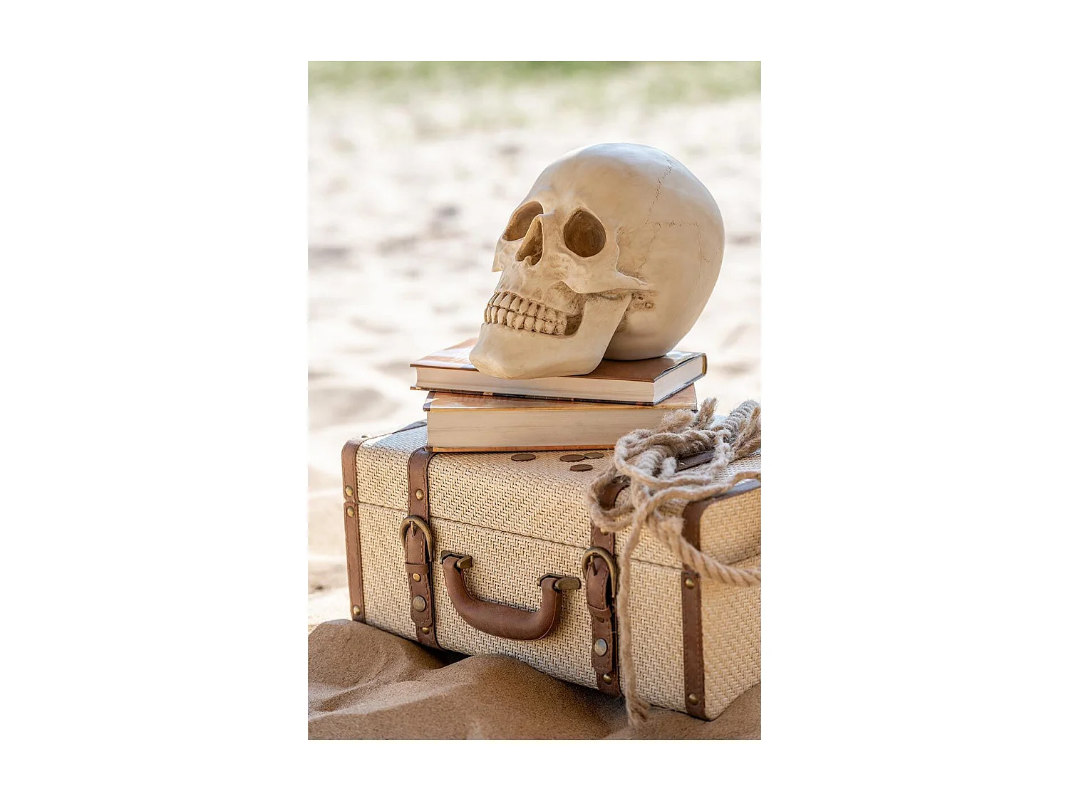 Statuette Déco "Crâne" 21cm Naturel