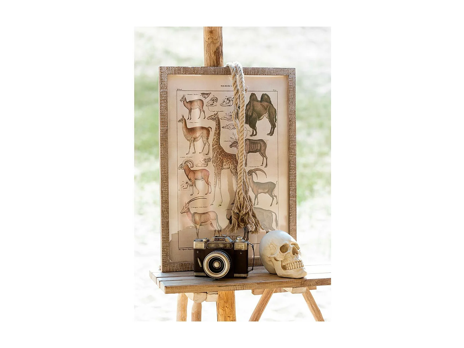 Statuette Déco "Crâne" 21cm Naturel