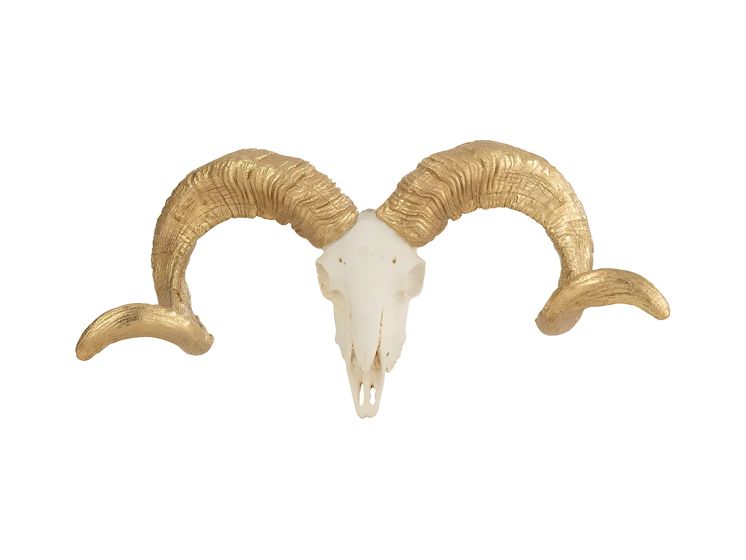 Statuette Déco "Crâne Mouton" 32cm Blanc & Or
