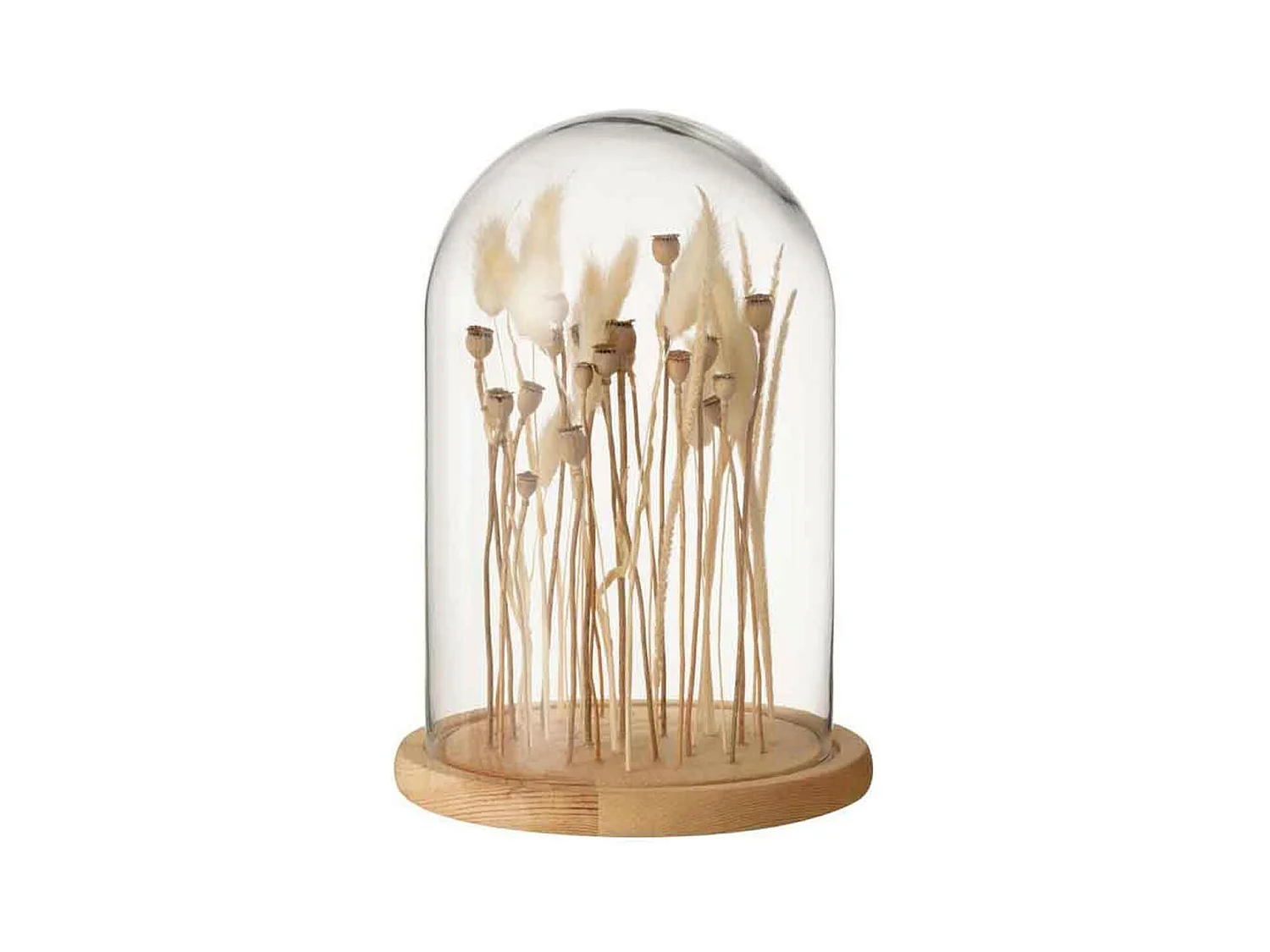 Cloche en Verre Déco "Fleurs Séchées" 26cm Écru