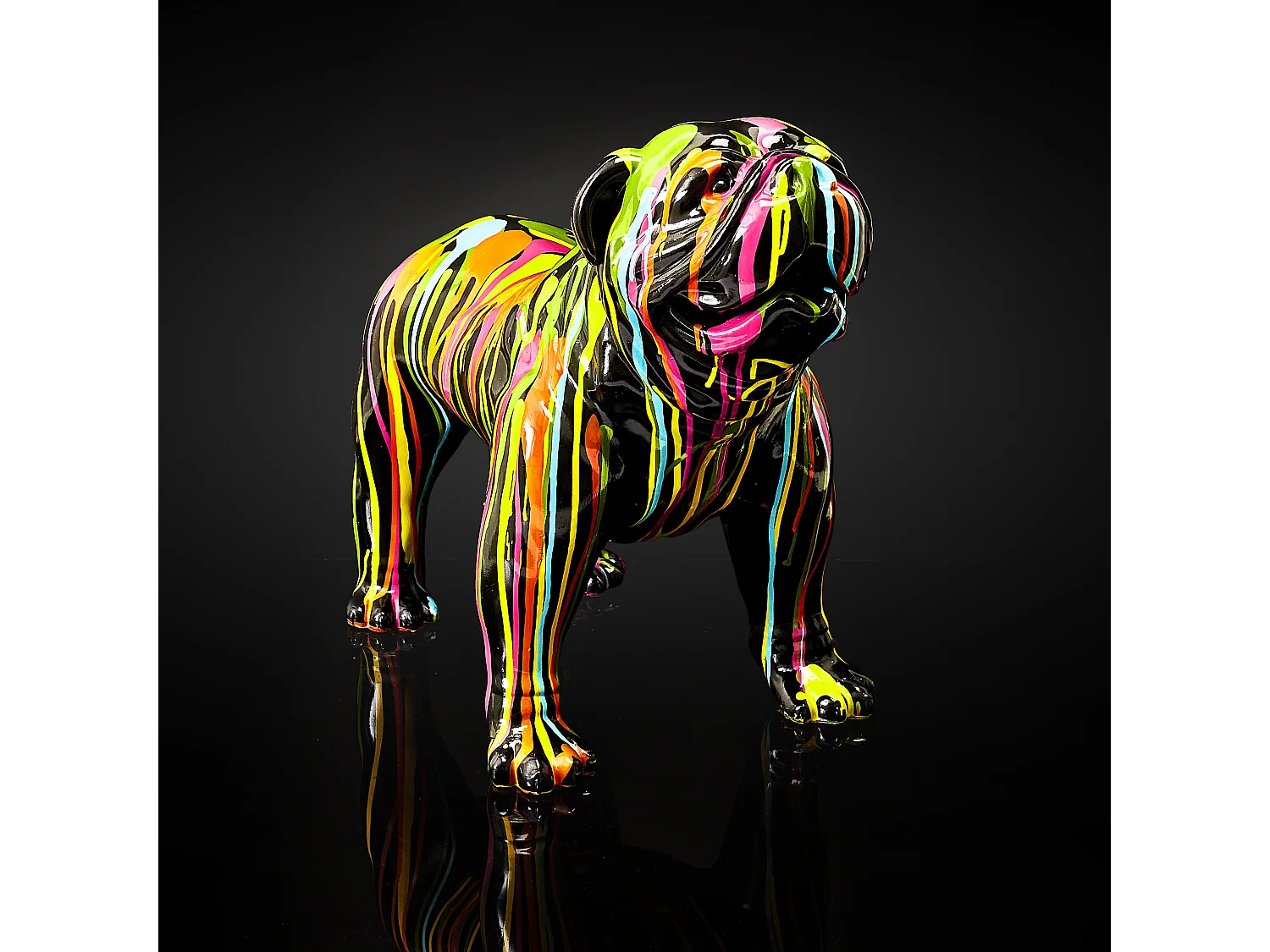 Molosse Coulures H50cm Multicolore