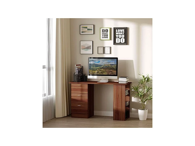 Bureau informatique RICARDO brun