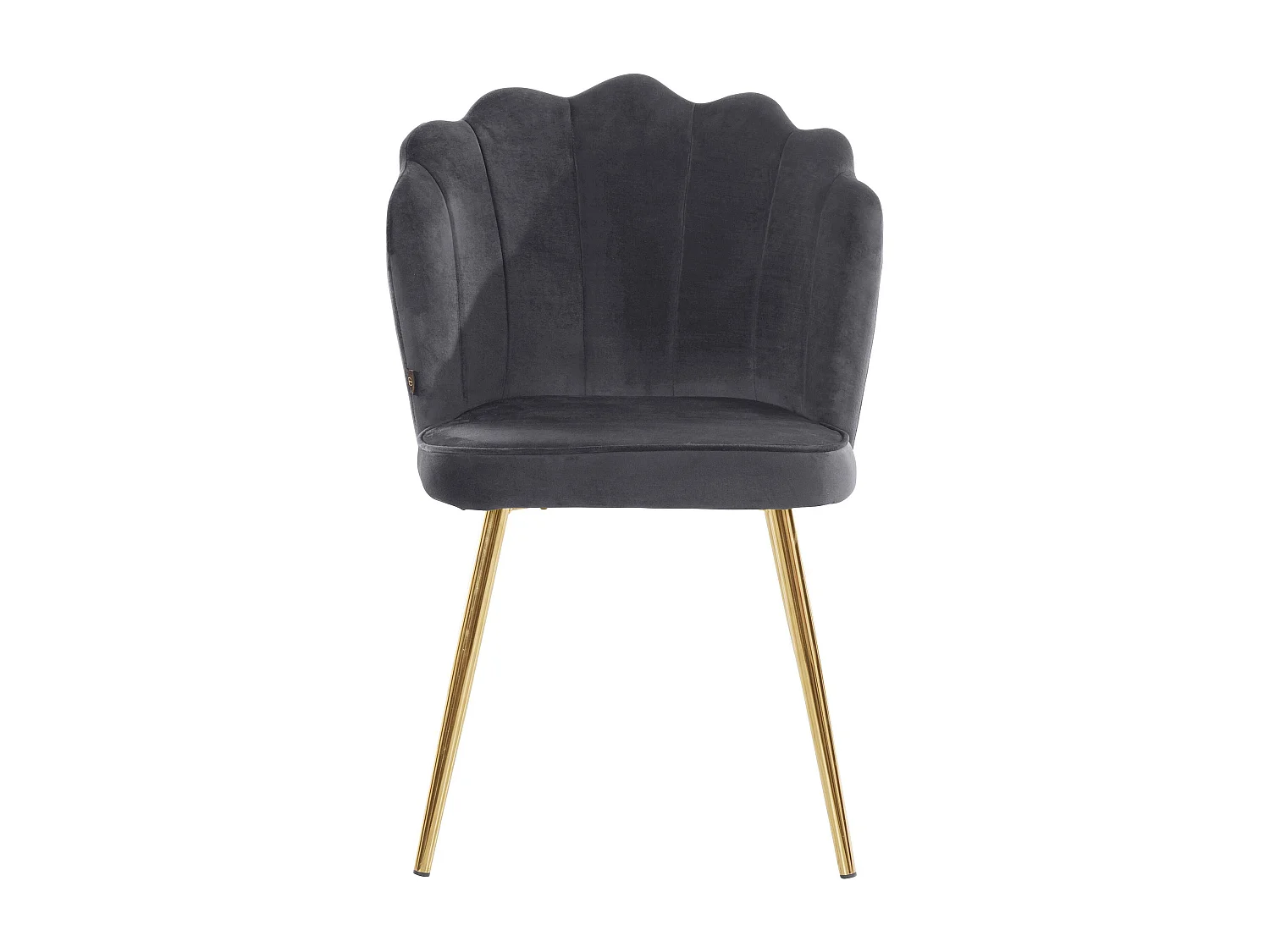 Silvia | Lot de 2 chaises de salle à manger rembourrées en velours gris