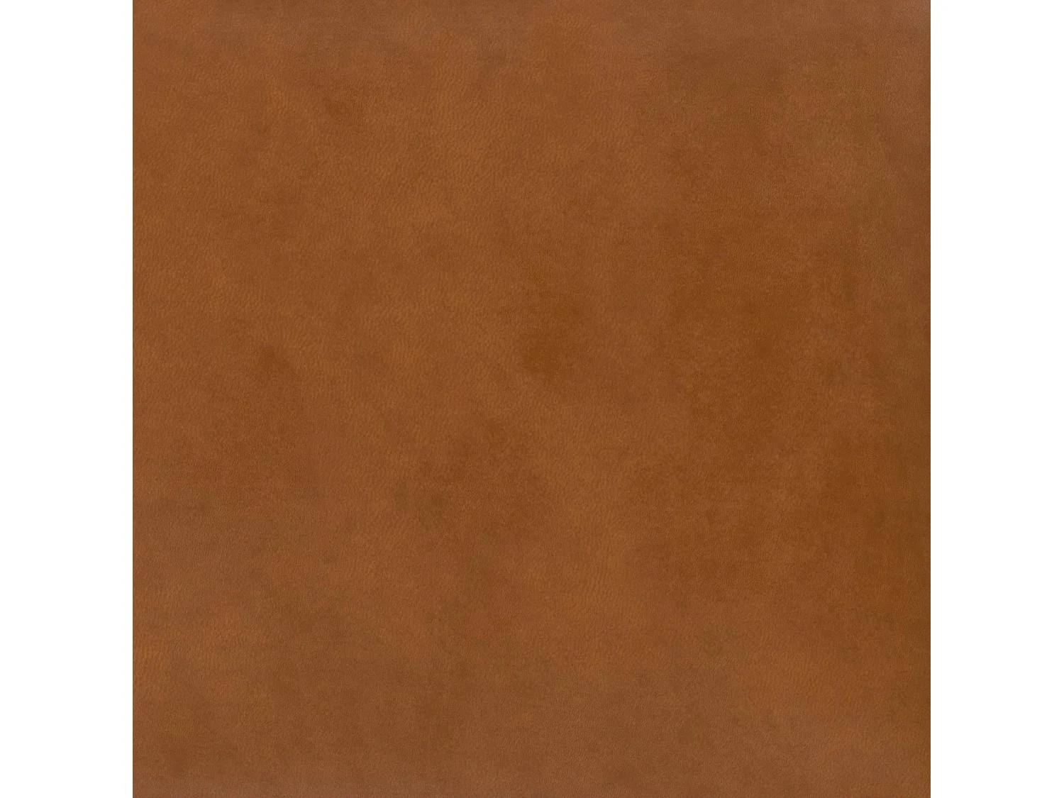 Sedia Accent in ecopelle cammello