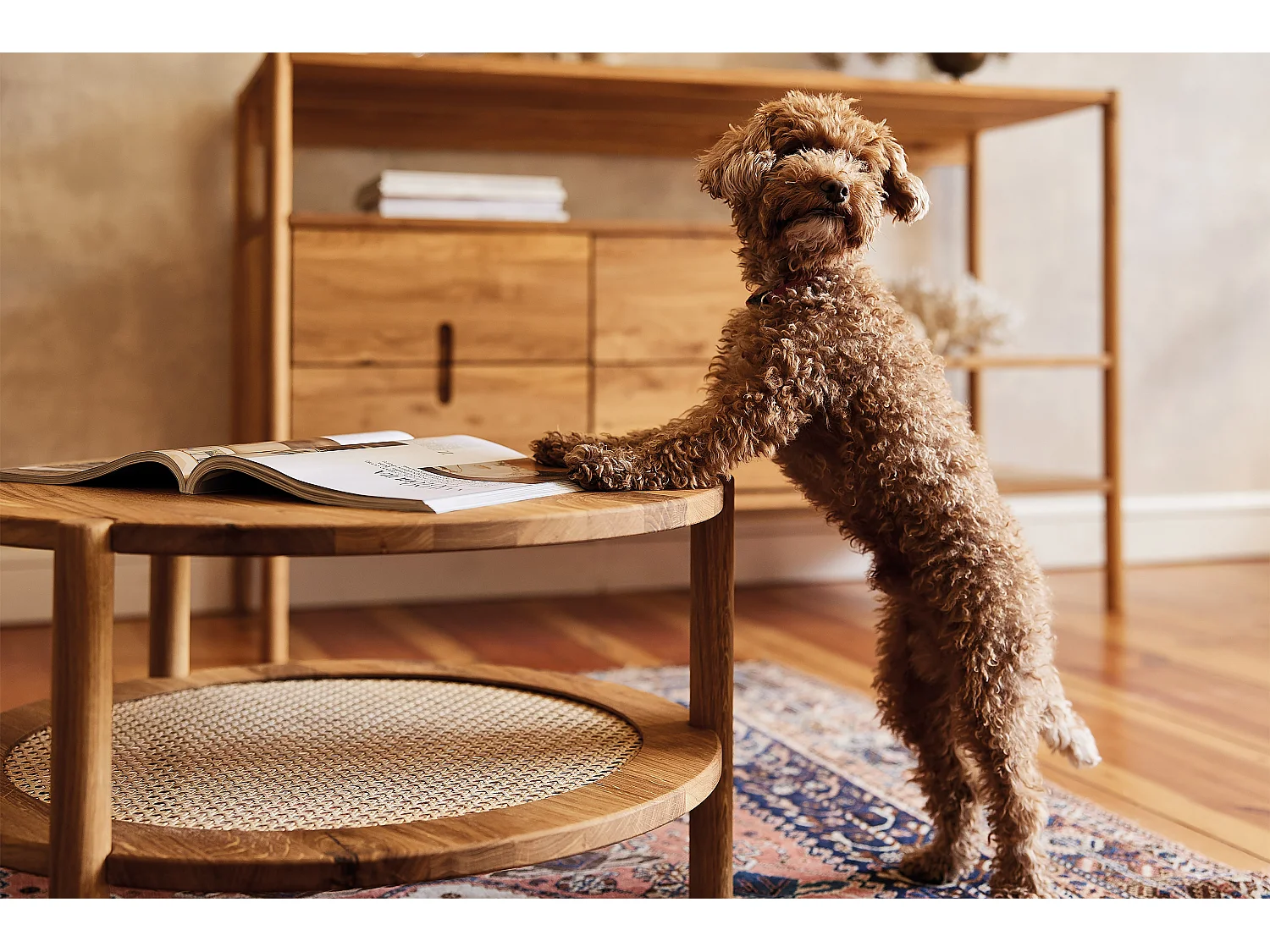 POLA - Niedriger Couchtisch mit Rattan aus Wildeiche, naturgeölt Φ80