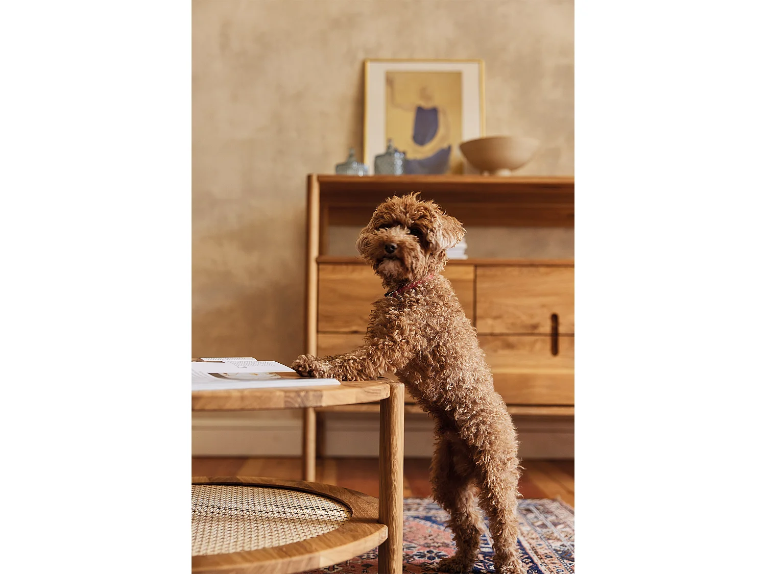 POLA - Hoher Couchtisch mit Rattan aus Wildeiche, naturgeölt Φ70