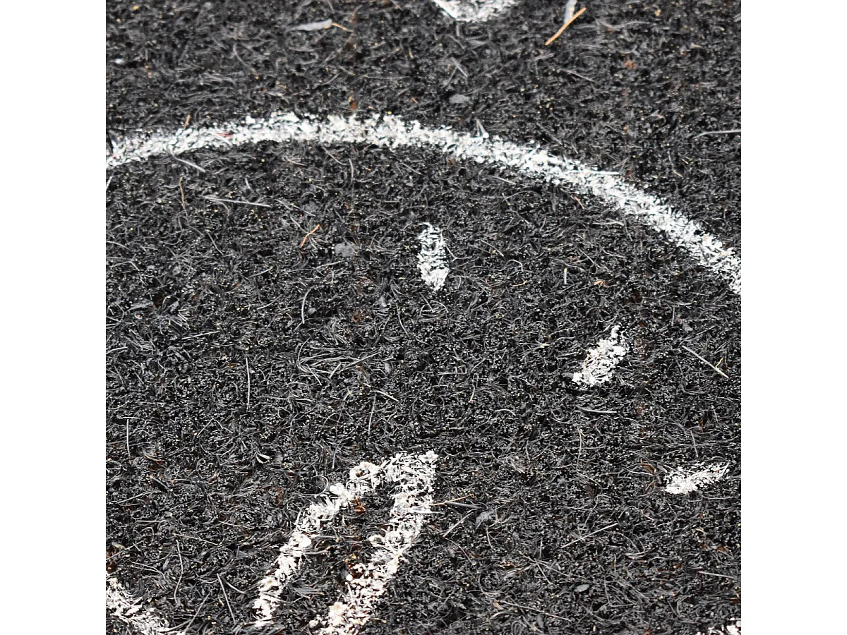 Paillasson 40x60 tissé en coco motif fresque COCKTAIL noir