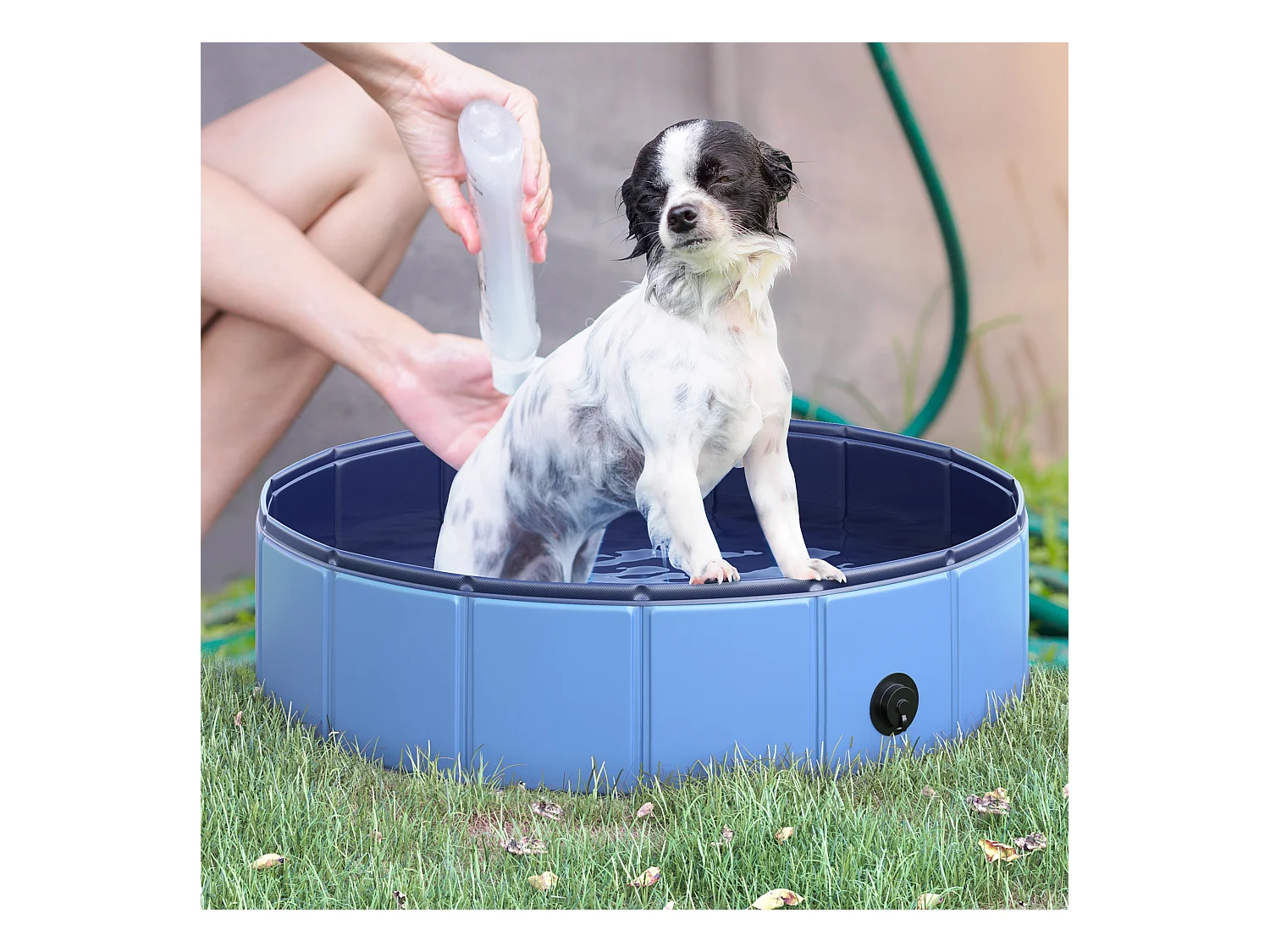Piscine pour chien bassin PVC pliable anti-glissant facile à nettoyer diamètre 80 hauteur 20 cm bleu