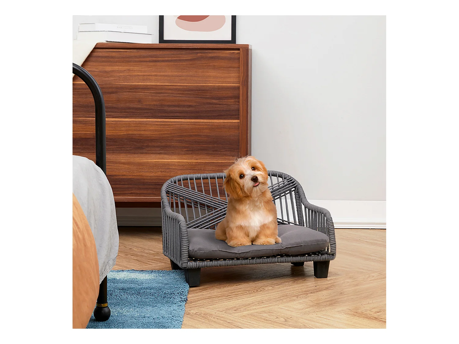 Lachesis Corde Tissée Chat ou Petit Chien Canapé