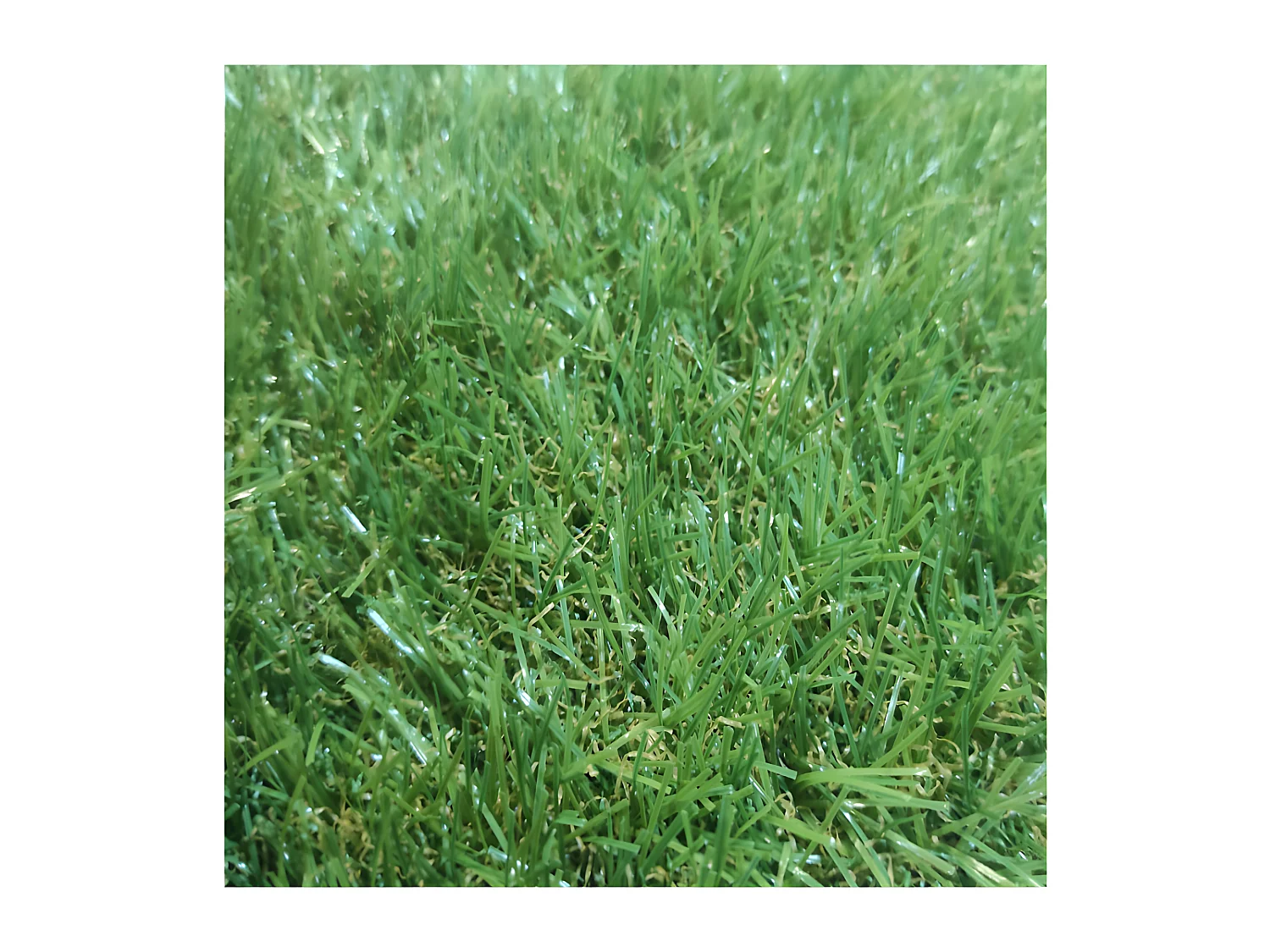 Gazon Synthétique| 1X6M (Largeur X Longueur)| Épaisseur 20MM