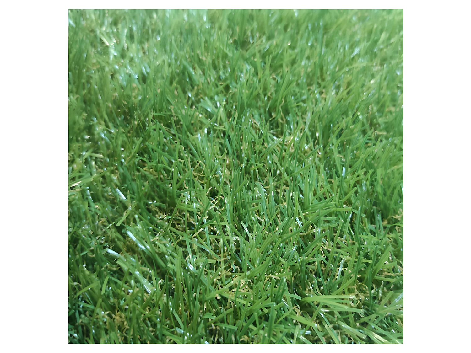 Gazon Synthétique| 1X6M (Largeur X Longueur)| Épaisseur 20MM